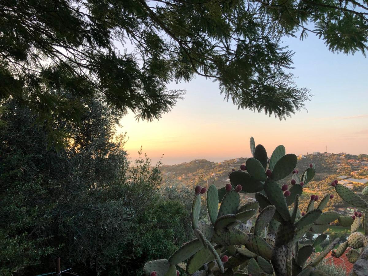 Villa D'Artisti سانريمو المظهر الخارجي الصورة