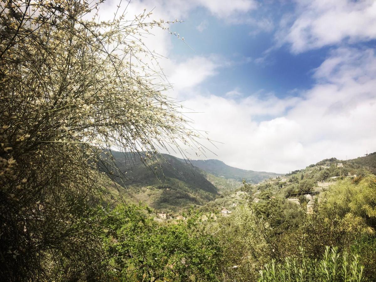 Villa D'Artisti سانريمو المظهر الخارجي الصورة