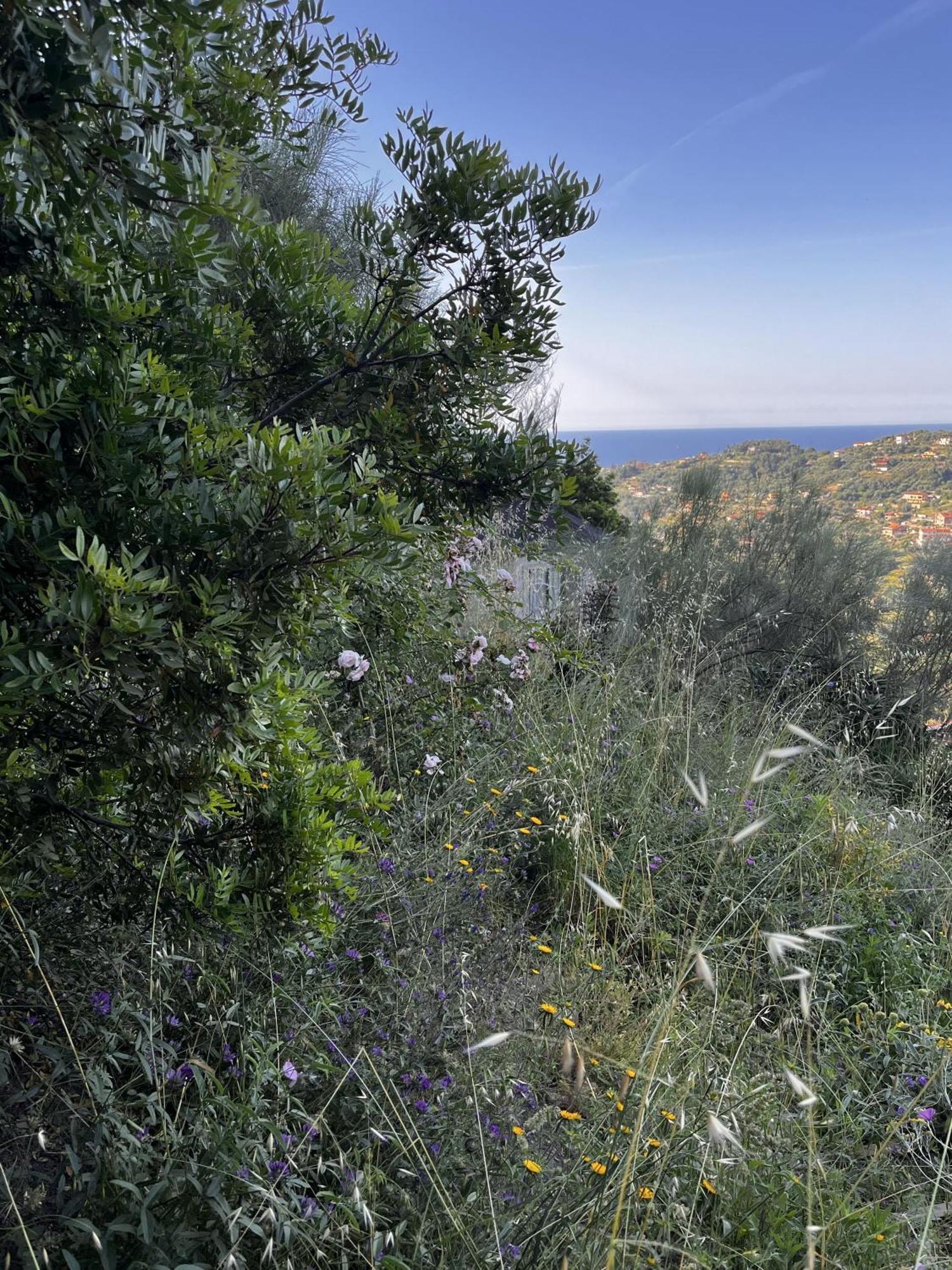 Villa D'Artisti سانريمو المظهر الخارجي الصورة