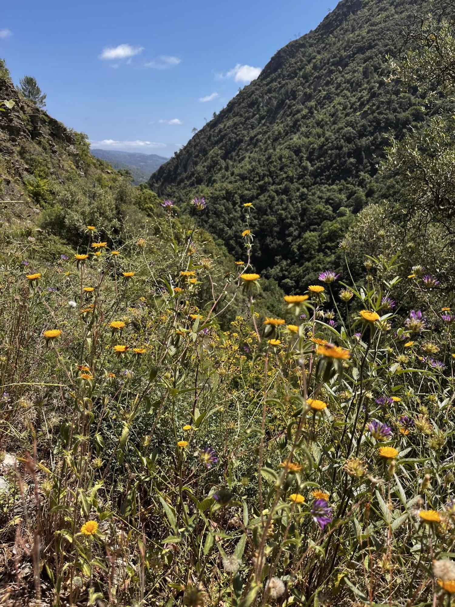 Villa D'Artisti سانريمو المظهر الخارجي الصورة