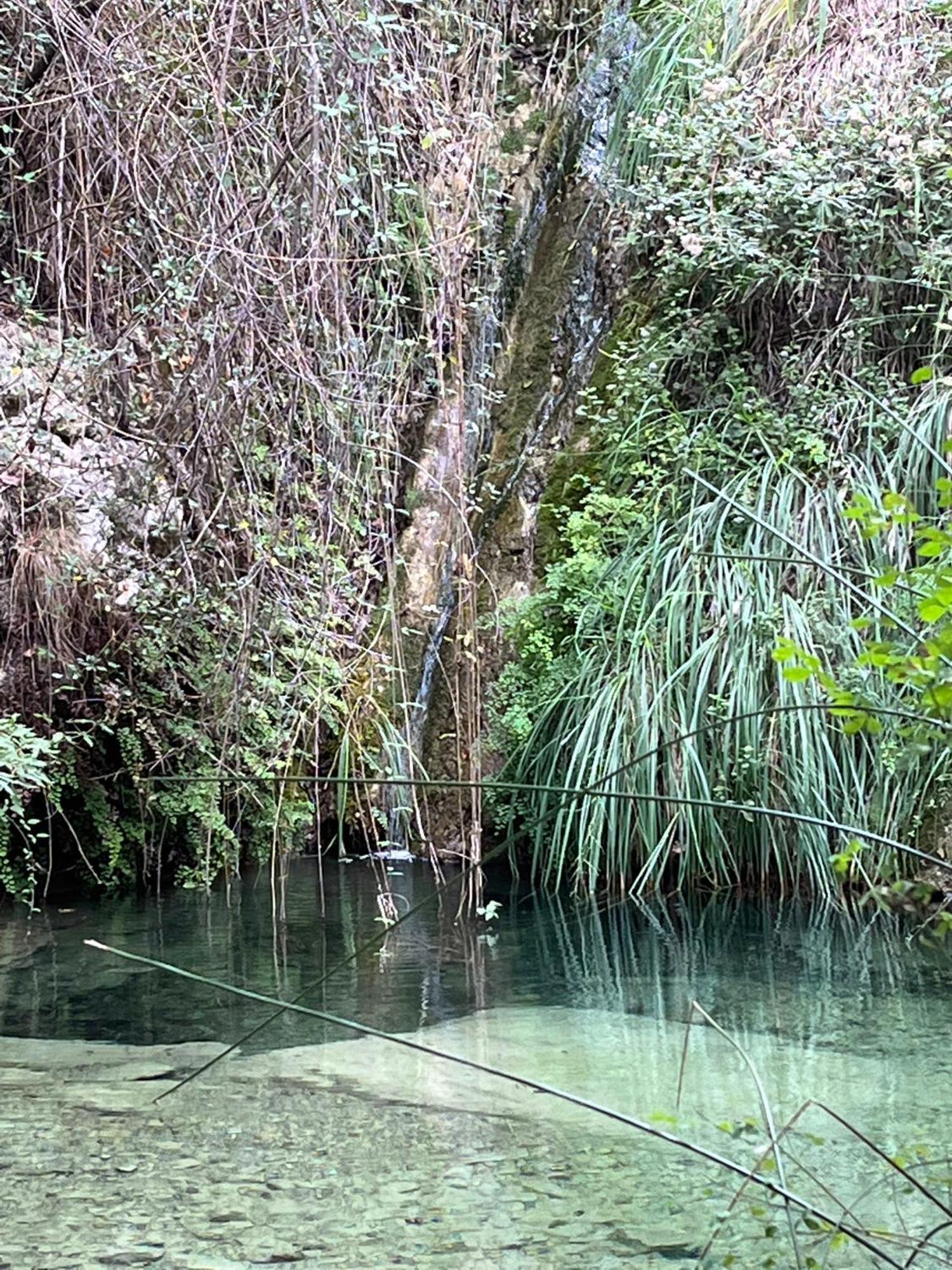 Villa D'Artisti سانريمو المظهر الخارجي الصورة